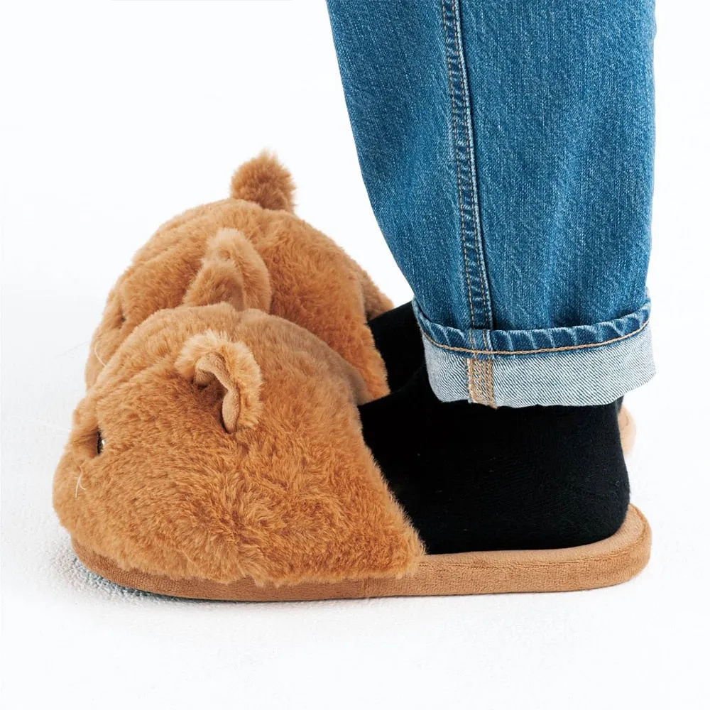 Pat and Pet Emporium | Shoes | Women's Plush Kitten Slippers