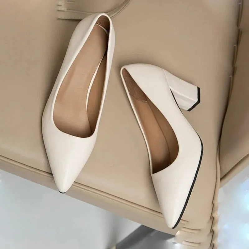 Women's Fashion High Heels Slip-on Pointed Toe Shoes - 520