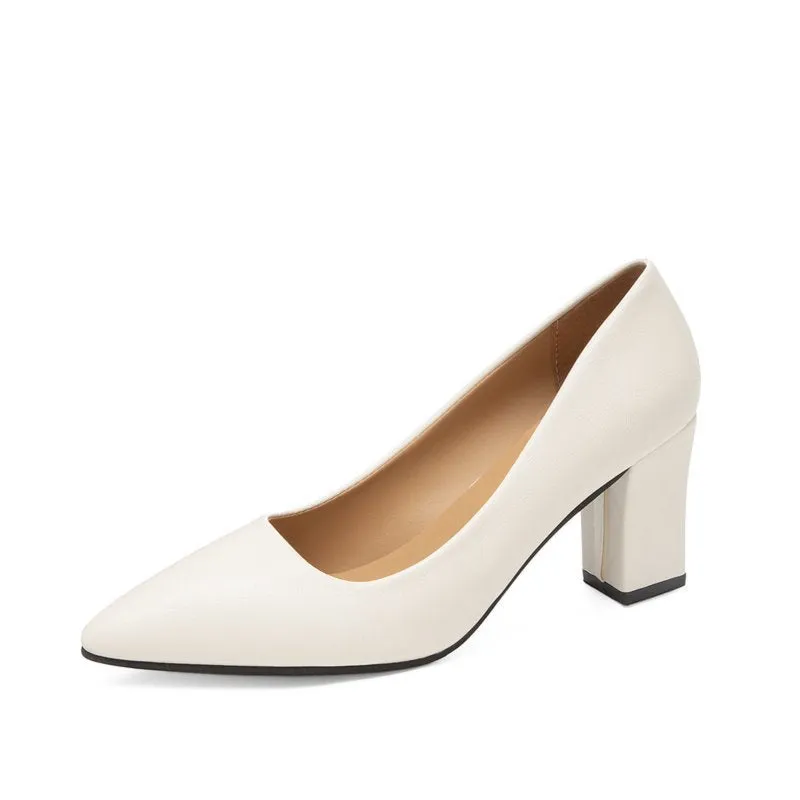 Women's Fashion High Heels Slip-on Pointed Toe Shoes - 520