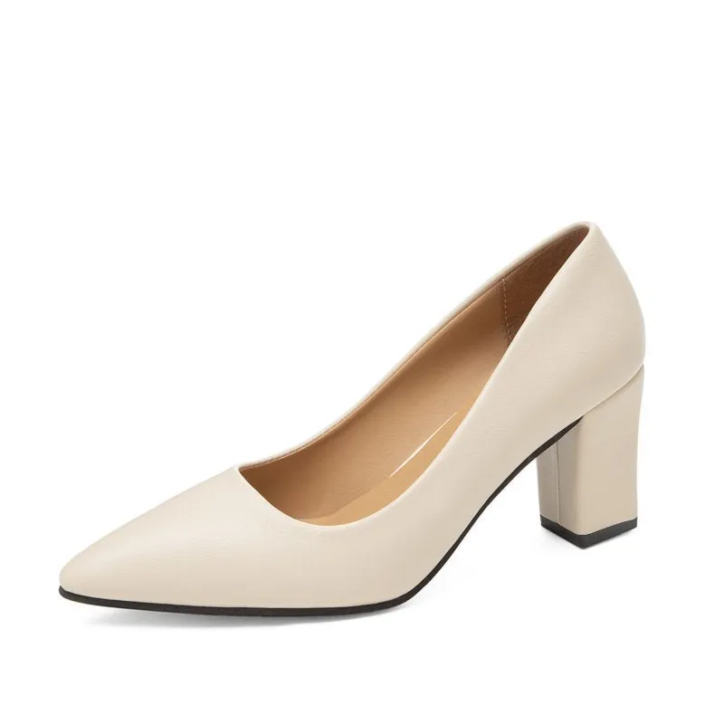 Women's Fashion High Heels Slip-on Pointed Toe Shoes - 520